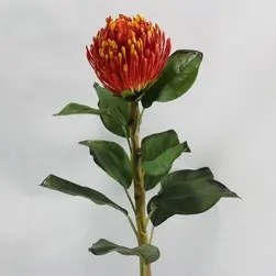 Artificial Protea Flower Orange 72cm