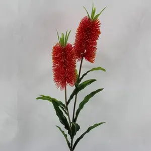 Double Bottle Brush Spray Red 72cm