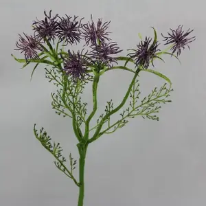 Cyperus Spray Purple 51cm