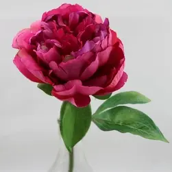 Short Stem Peony Flower 33cm Hot Pink