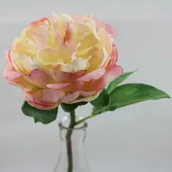 Short Stem Peony Flower 33cm Cream Pink