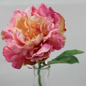 Short Stem Single Peony Pink