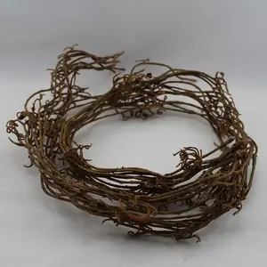 Prehthic Twig Bundle of 12