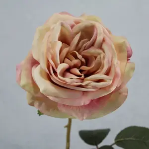 1. Gina Rose 65cm Light Pink thumbnail