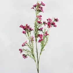 Artificial Geraldton Waxflower Spray Hot Pink 68cm