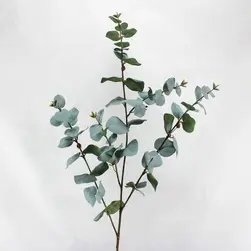 Tall Blue/Grey Round Leaf Eucalyptus Gum Spray 108cm