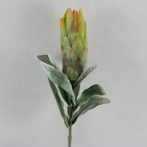 Prince Protea Green 67cm