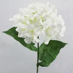 Domed Hydrangea 68cm White