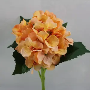 Classic Hydrangea  Peach 49cm