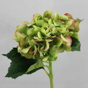 Classic Hydrangea  Apple 49cm