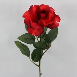 Single Rose Red 54cm
