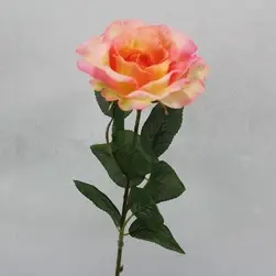 Single Rose Pink / Peach 54cm