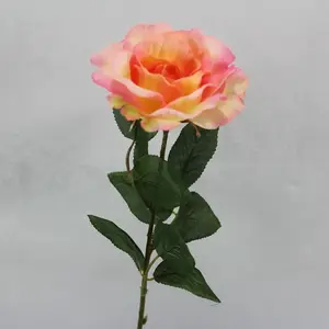 Single Rose Pink / Peach 54cm