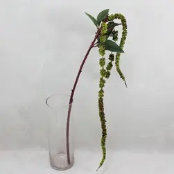 Long Amaranthus Berry Tail Spray Green 122cm