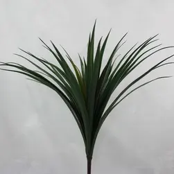 Large Yucca Head Green/Red 60cm