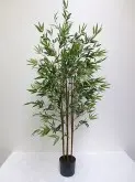 5ft Mini Bamboo Tree