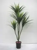 4ft Yucca Tree 