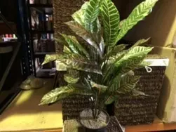 Real Touch Croton Plant 80cm