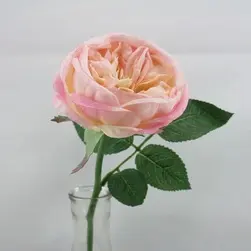 Bailey Rose 30cm Pink
