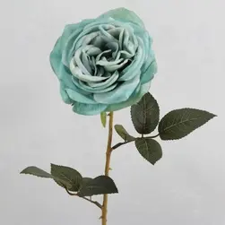 Gina Rose 65cm Blue