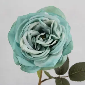 1. Gina Rose 65cm Blue thumbnail