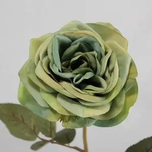 1. Gina Rose 65cm Green thumbnail