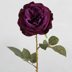 Gina Rose 65cm Purple