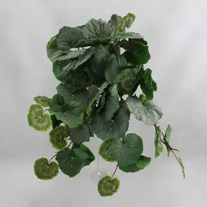 Geranium Leaves Hanging Bush 58cm