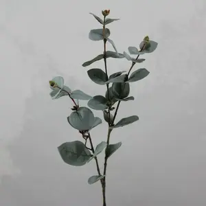 Eucalyptus Dollar Gum Leaf Spray 67cm