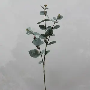 2. Eucalyptus Dollar Gum Leaf Spray 67cm thumbnail