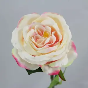 David Austin Rose Soft Pink 50cm