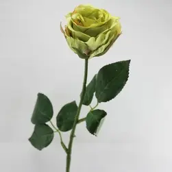 Bouquet Rose Green 48cm