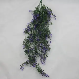 Baby Tears Hanging Bush Purple 80cm