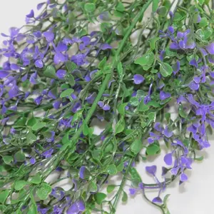 1. Baby Tears Hanging Bush Purple 80cm thumbnail
