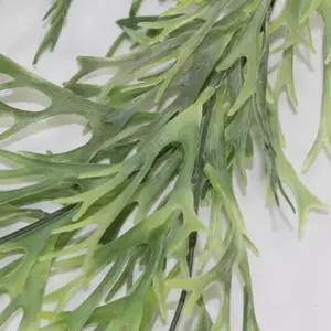 1. Elk Horn Hanging Vine Bush 100cm thumbnail