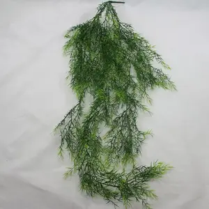 Asparagus Fern Hanging Vine Bush 125cm