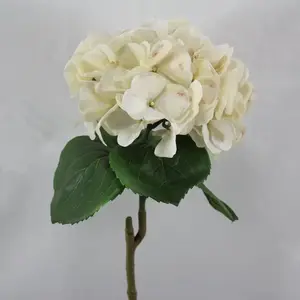 New Hydrangea 61cm Cream