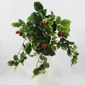 Deluxe Raspberry Hanging Bush 54cm