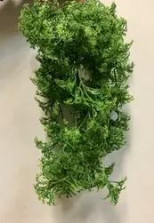 Small Moss Hanging Bush on Stem 26cm 