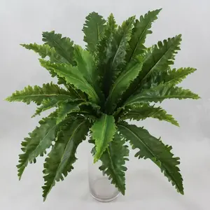 Margarintum Fern Bush 54cm