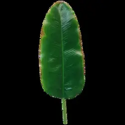Banana Leaf 96cm