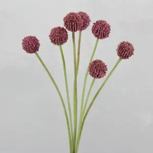 Billy Buttons Spray 60cm Pink