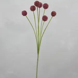 1. Billy Buttons Spray 60cm Pink thumbnail