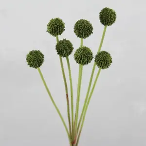 Billy Buttons Spray 60cm Dark Green