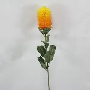 Small Banksia Praemorsa Yellow / Orange 68cm