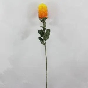 1. Small Banksia Praemorsa Yellow / Orange 68cm thumbnail