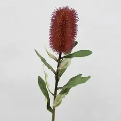 Medium Banksia Burgundy/Mauve 70cm