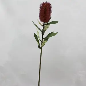 1. Medium Banksia Burgundy/Mauve 70cm thumbnail