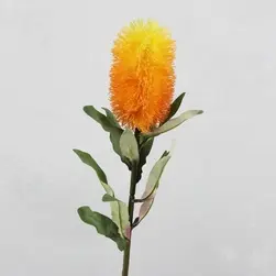 Medium Banksia Yellow / Orange 70cm