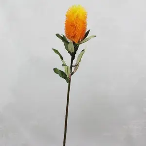 1. Medium Banksia Yellow / Orange 70cm thumbnail